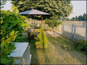 Relax Apartments
